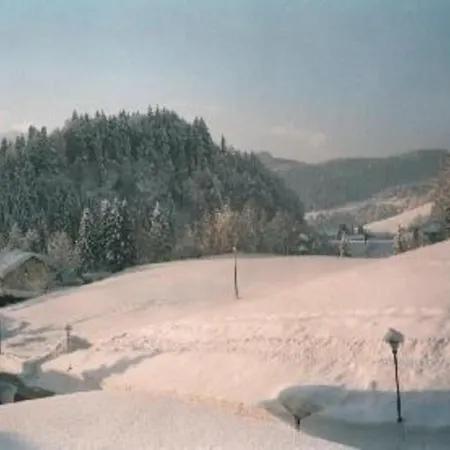 شقة Haus Sport Alpin Nr 4 Mit Terrasse In Oberstdorf-tiefenbach *